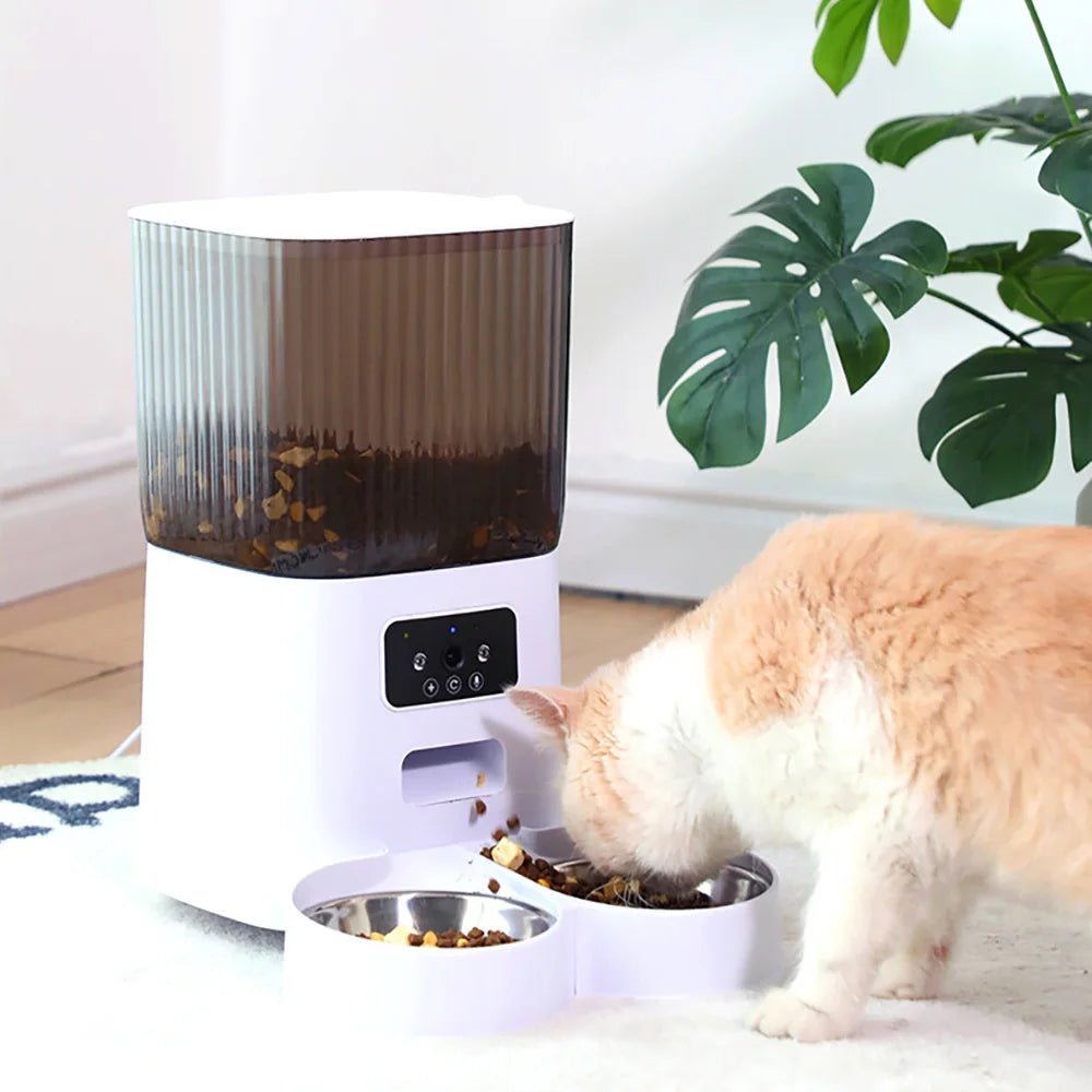 5L Double Bowls Smart Automatic Cat Feeder With Camera Cat Dry Food Video Dispenser Pet Smart Voice Recorder Auto Feeder For Dog - Furbury