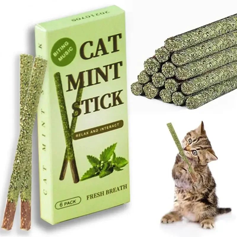 6pcs Natural Matatabi Cat Stick Mint Caught Bite Excited Rods Silvervine For Cat Teeth Cleaning Treating Pet Supply Cat Toys - Furbury