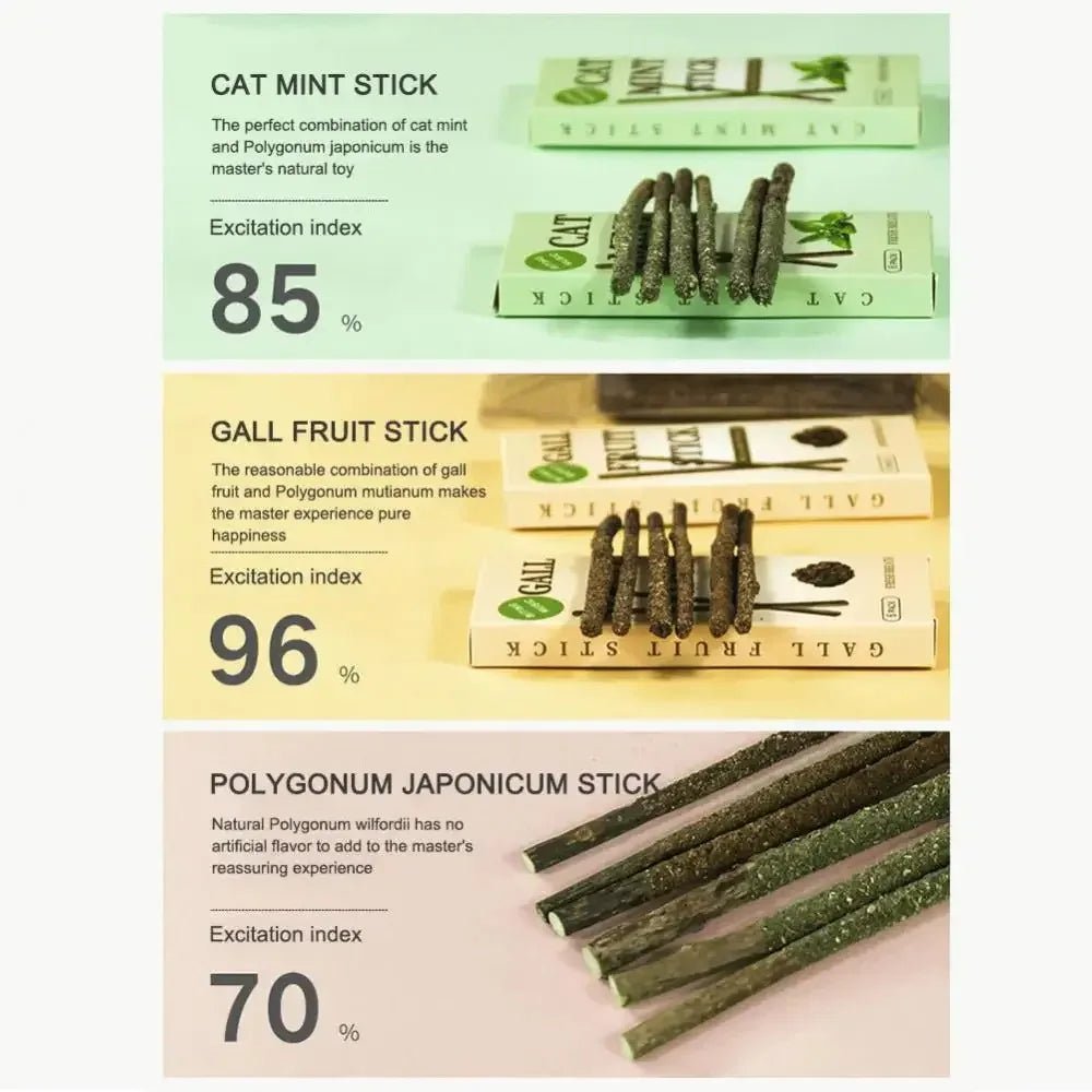 6pcs Natural Matatabi Cat Stick Mint Caught Bite Excited Rods Silvervine For Cat Teeth Cleaning Treating Pet Supply Cat Toys - Furbury