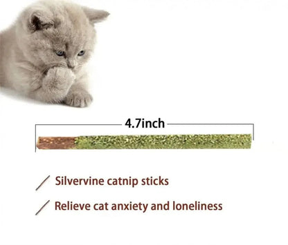 6pcs Natural Matatabi Cat Stick Mint Caught Bite Excited Rods Silvervine For Cat Teeth Cleaning Treating Pet Supply Cat Toys - Furbury