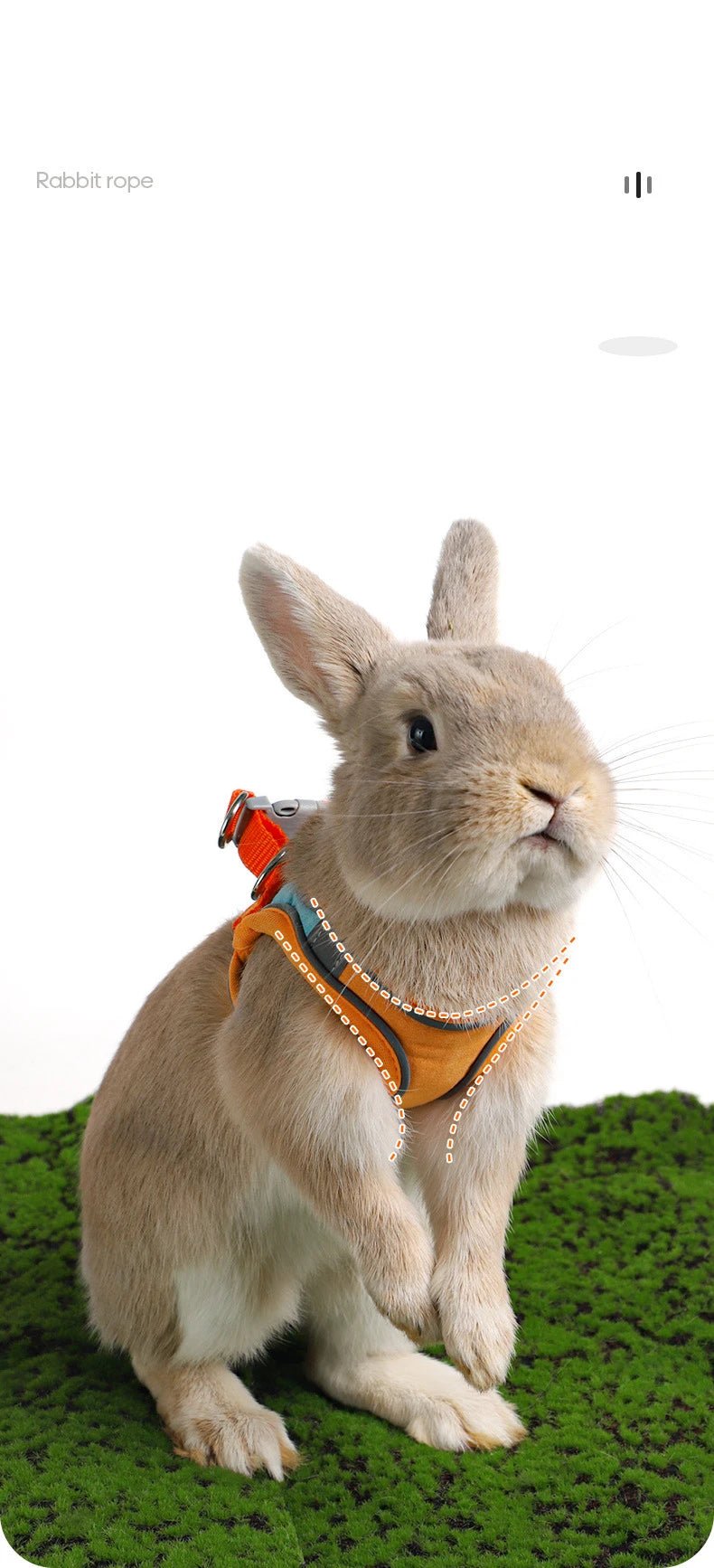 Adjustable Bunny Harness and Leash Set Double Buckle with Reflective Strips Rabbit Vest Pets Stuff Suitable for Rabbit Walks - Furbury