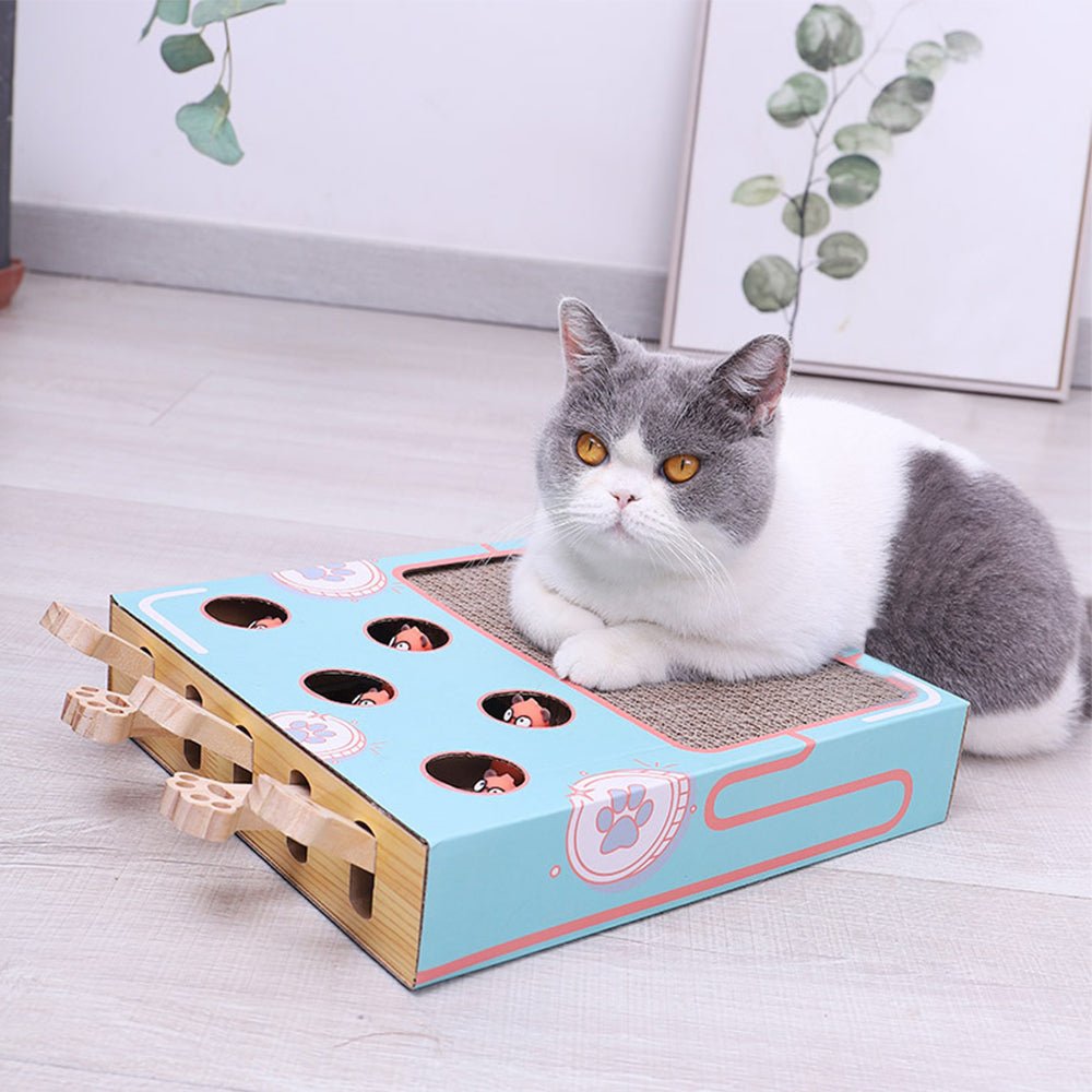 Cat Game Box Maze Interactive Educational Cat Hit Gophers Funny Cat Stick 3 in 1 Cat Toy Chase Hunt Mouse With Scratcher - Furbury