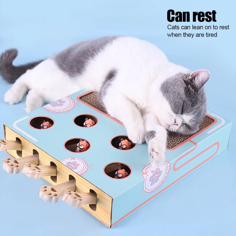 Cat Game Box Maze Interactive Educational Cat Hit Gophers Funny Cat Stick 3 in 1 Cat Toy Chase Hunt Mouse With Scratcher - Furbury