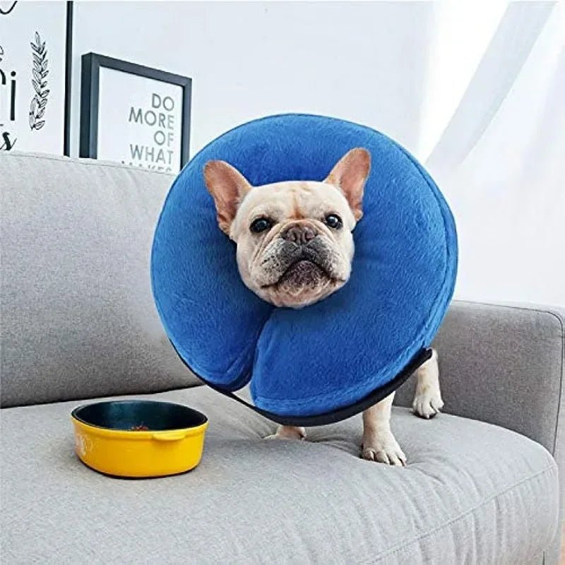 Dog Cones After Surgery, Protective Inflatable Dog Collar Pet Recovery Collar Soft Pet Cone for Small Medium or Large Dogs, Cats - Furbury