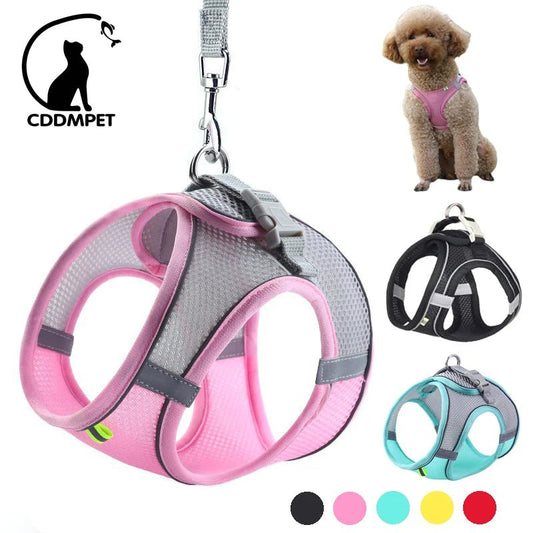 Dog Harness Leash Set for Small Dogs Adjustable Puppy Cat Harness Vest French Bulldog Chihuahua Pug Outdoor Walking Lead Leash - Furbury