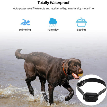 Dog Training Digital Collar Waterproof Rechargeable Remote Control Pet with LCD Display for All Size Shock Vibration Sound - Furbury