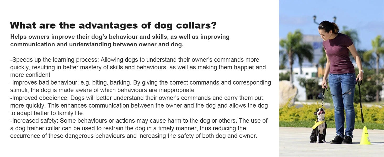 Dog Training Digital Collar Waterproof Rechargeable Remote Control Pet with LCD Display for All Size Shock Vibration Sound - Furbury