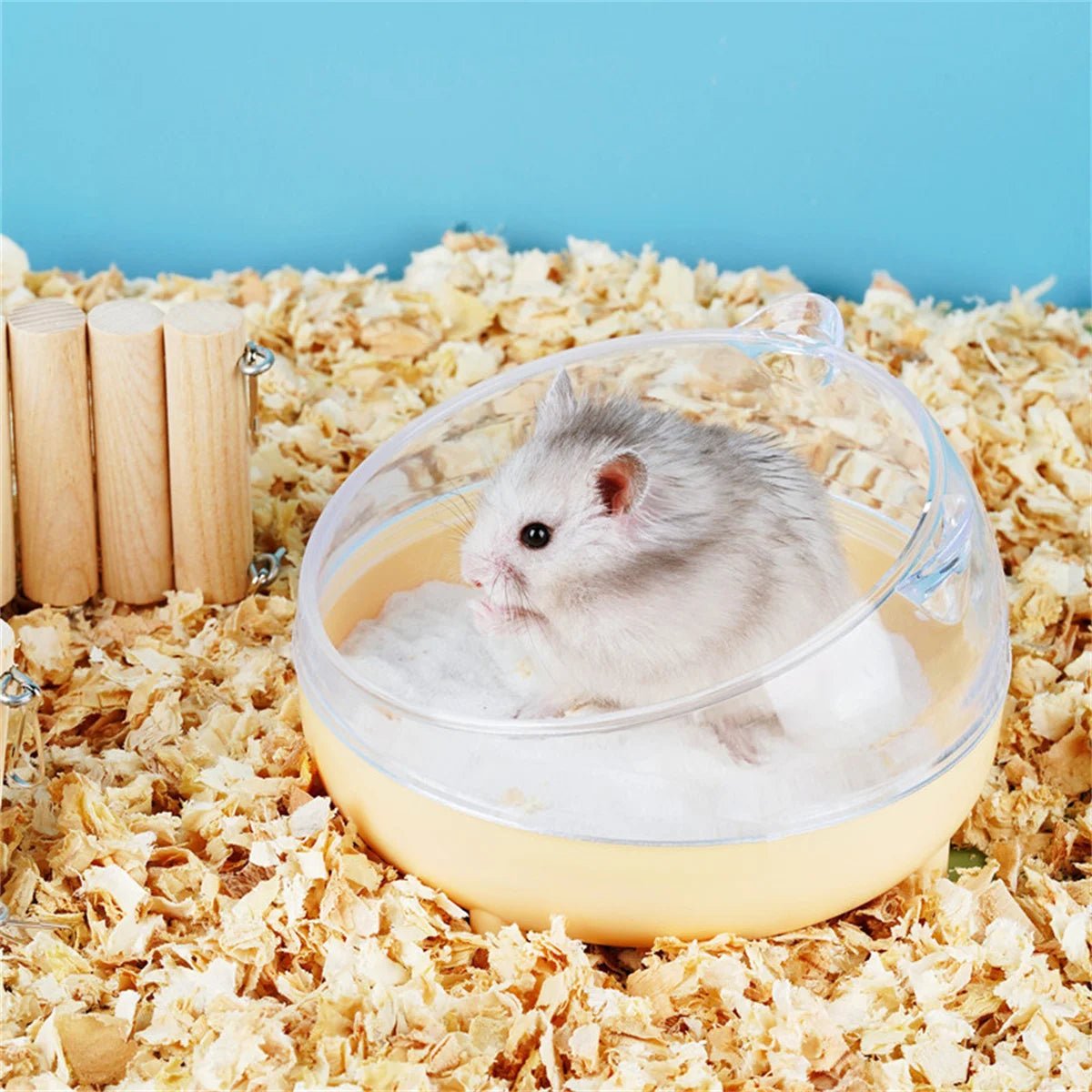 Hamster Bathroom House Sandbox Full Transparent Urine Sand Basin Golden Bear Supplies Sand Bath Container Small Pet Bathroom - Furbury