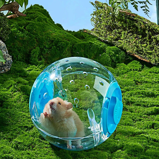 Hamster Exercise Ball Transparent Hamster Running Ball Wheel With Traction Rope For Small Animals Pet Supplies 14cm/18/cm - Furbury