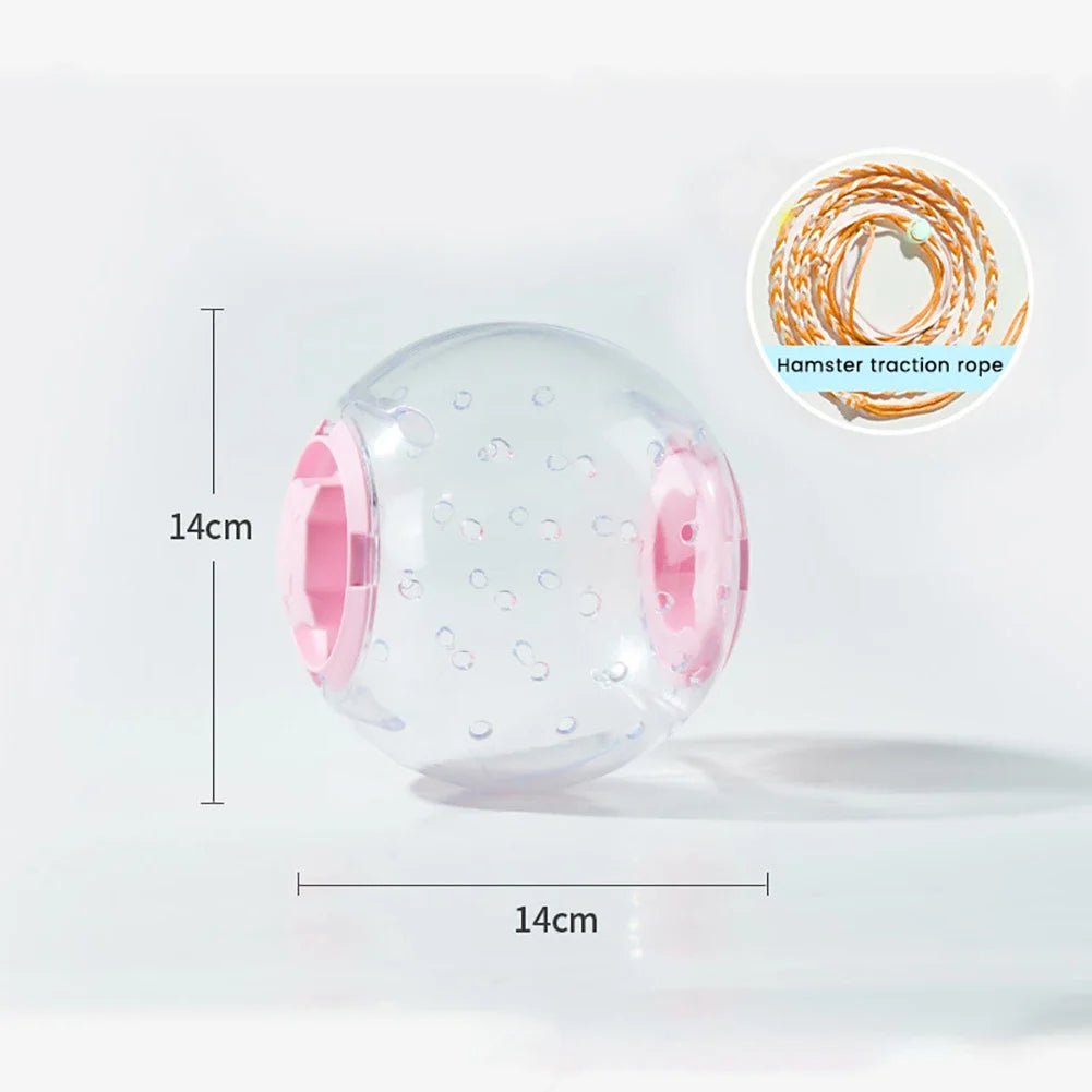 Hamster Exercise Ball Transparent Hamster Running Ball Wheel With Traction Rope For Small Animals Pet Supplies 14cm/18/cm - Furbury