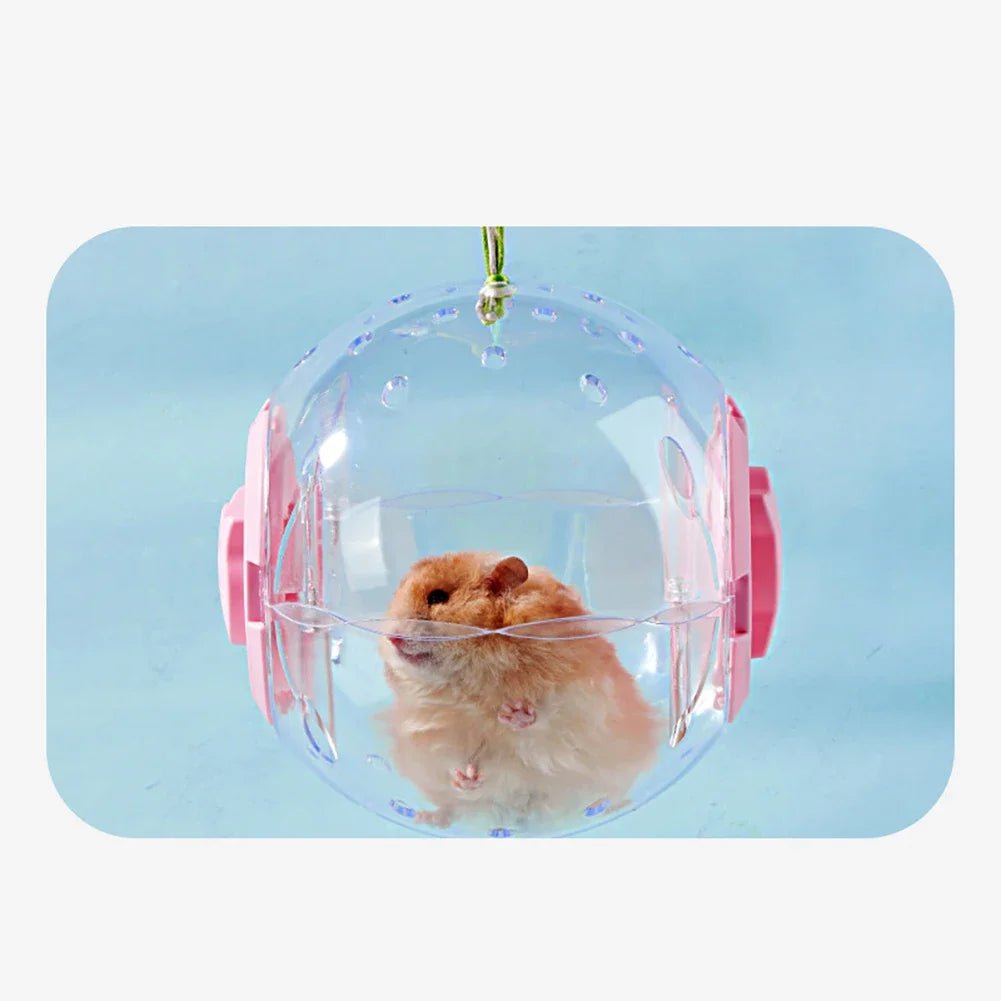 Hamster Exercise Ball Transparent Hamster Running Ball Wheel With Traction Rope For Small Animals Pet Supplies 14cm/18/cm - Furbury