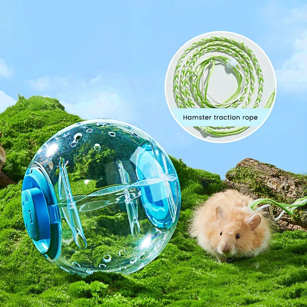 Hamster Exercise Ball Transparent Hamster Running Ball Wheel With Traction Rope For Small Animals Pet Supplies 14cm/18/cm - Furbury