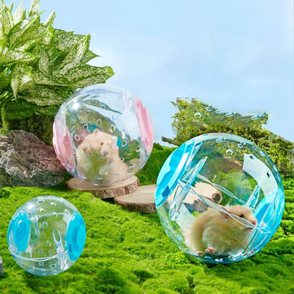 Hamster Exercise Ball Transparent Hamster Running Ball Wheel With Traction Rope For Small Animals Pet Supplies 14cm/18/cm - Furbury