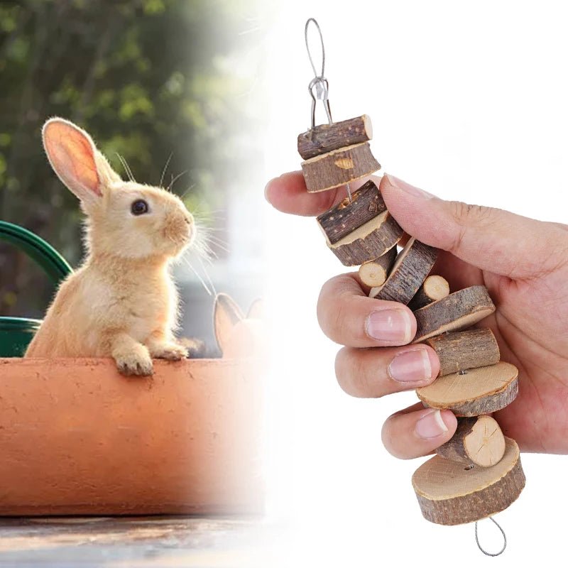 Hamster Rabbit Chew Toy Natural Wood Sticks for Small Pet Chinchilla Guinea Pigs Squirrels Tooth Grinding Toy Pet Supplies - Furbury