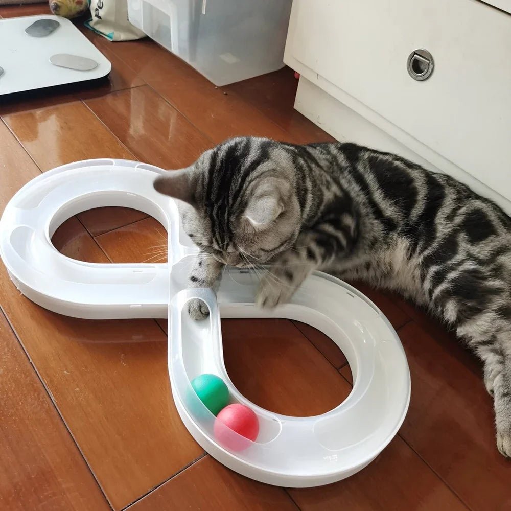 Household Cat Toy Turntable Cat Teasing Set Small Cat Tunnel Sports Stick Supplies Practice Focus Meet Nature Pet turntable - Furbury