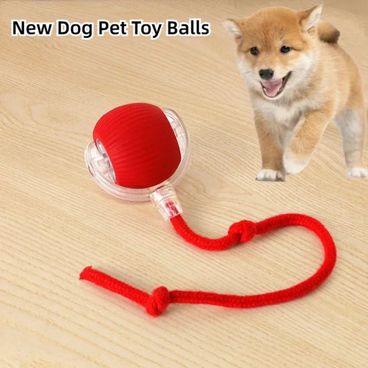 Interactive Dog Toys Rechargeable Pet Interactive Toys Electric Cats Ball Automatic Rolling Fake Tail Ball Dog Cats Toy - Furbury