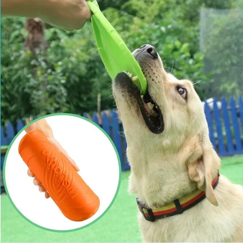 Multicolor Frisbeed Dog Toy Fashion Pet Dog Silicone Game Flying Discs Trainning Interactive Toys Pet Supplies Flying Disc - Furbury