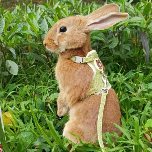 Newest Cute Rabbit Harness and Leash Set Bunny Pet Accessories Vest Harnesses Rabbit Leashes for Outdoor Walking Pets Supplies - Furbury