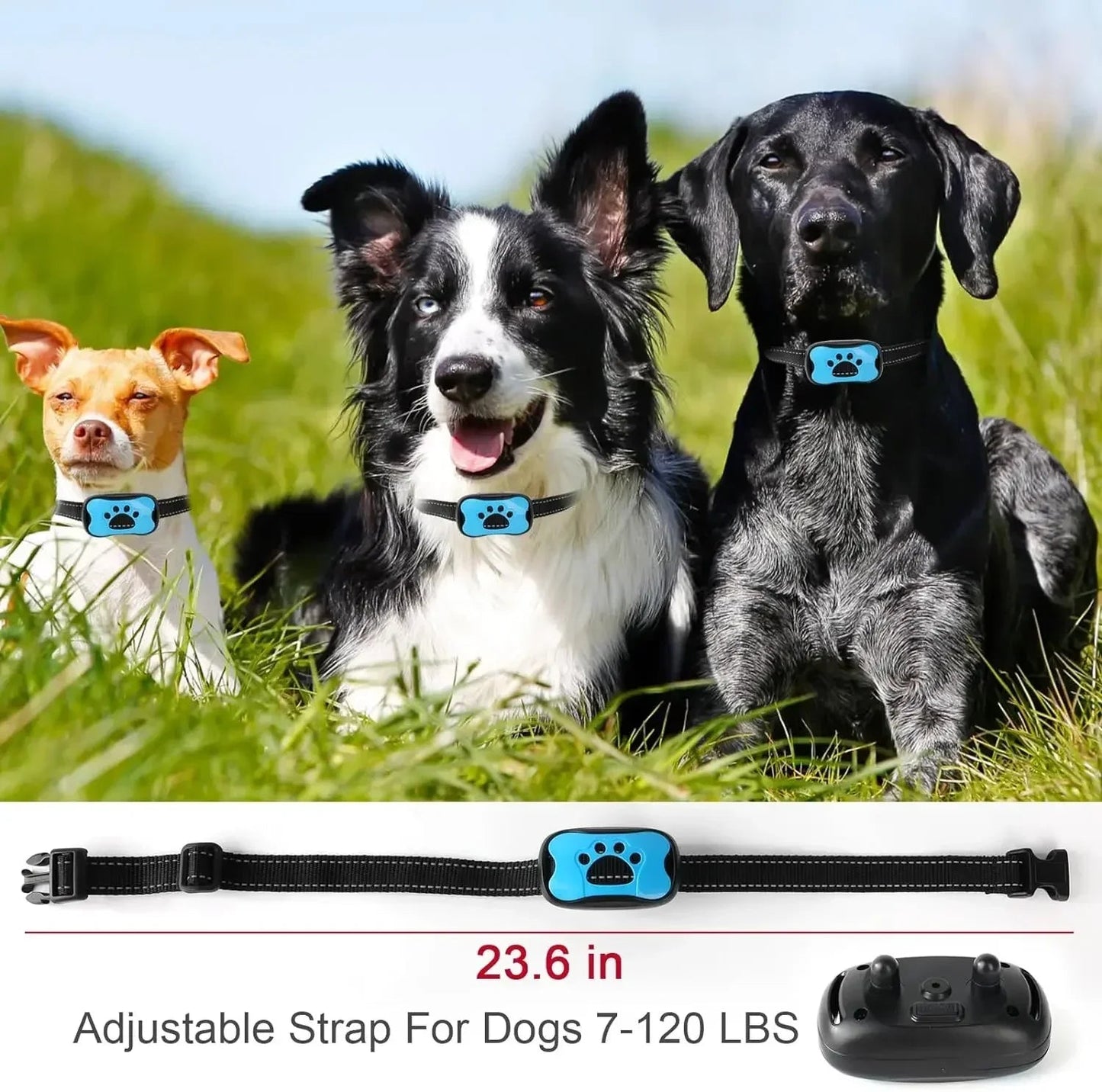 Pet Dog Anti Barking Device USB Rechargeable Dogs Training Collar Ultrasonic Stop Barking Vibration Anti Bark Collar - Furbury