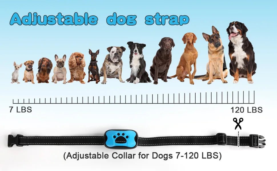 Pet Dog Anti Barking Device USB Rechargeable Dogs Training Collar Ultrasonic Stop Barking Vibration Anti Bark Collar - Furbury