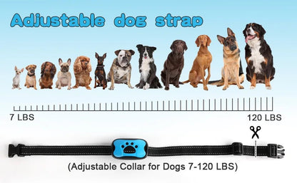 Pet Dog Anti Barking Device USB Rechargeable Dogs Training Collar Ultrasonic Stop Barking Vibration Anti Bark Collar - Furbury