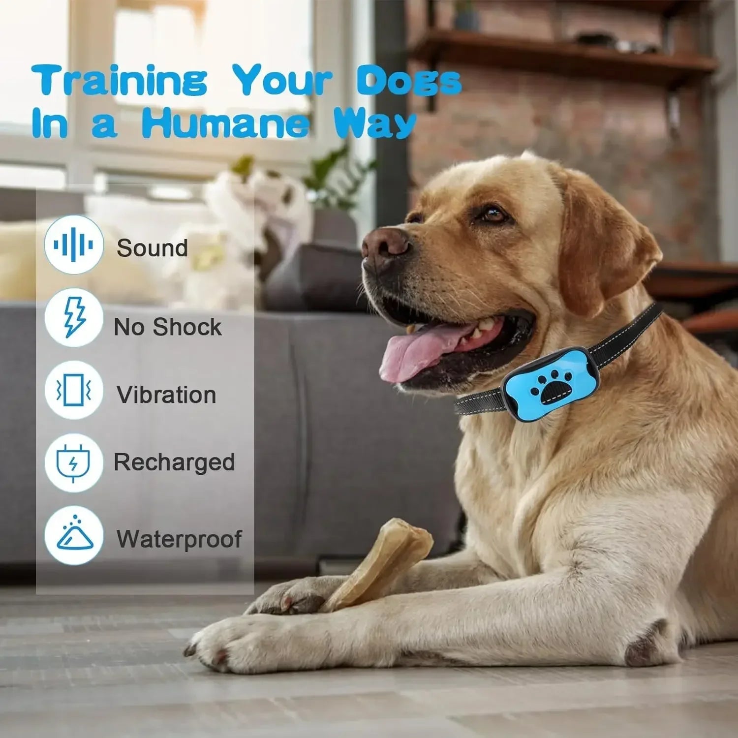 Pet Dog Anti Barking Device USB Rechargeable Dogs Training Collar Ultrasonic Stop Barking Vibration Anti Bark Collar - Furbury