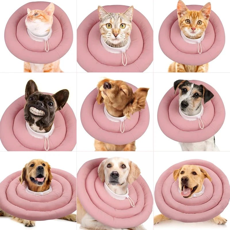 Pet Dog Cat Protection Collar Adjustable Elizabethan Collar Wounds Recovery Collar Waterproof Dog & Cat Neck Cones - Furbury