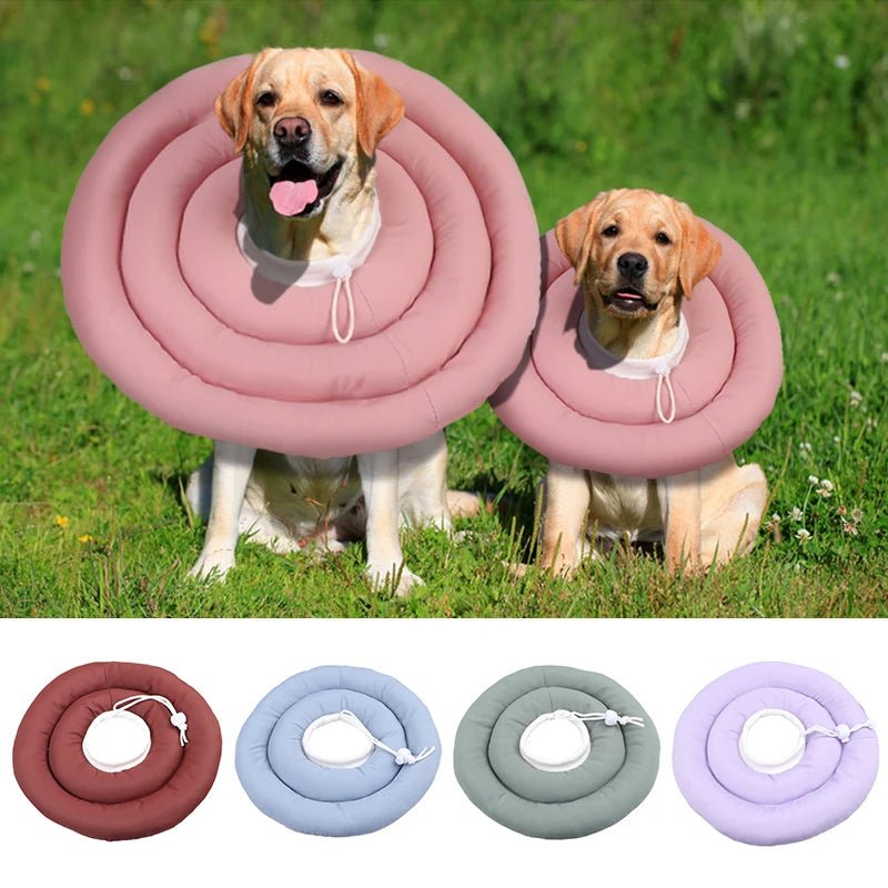 Pet Dog Cat Protection Collar Adjustable Elizabethan Collar Wounds Recovery Collar Waterproof Dog & Cat Neck Cones - Furbury