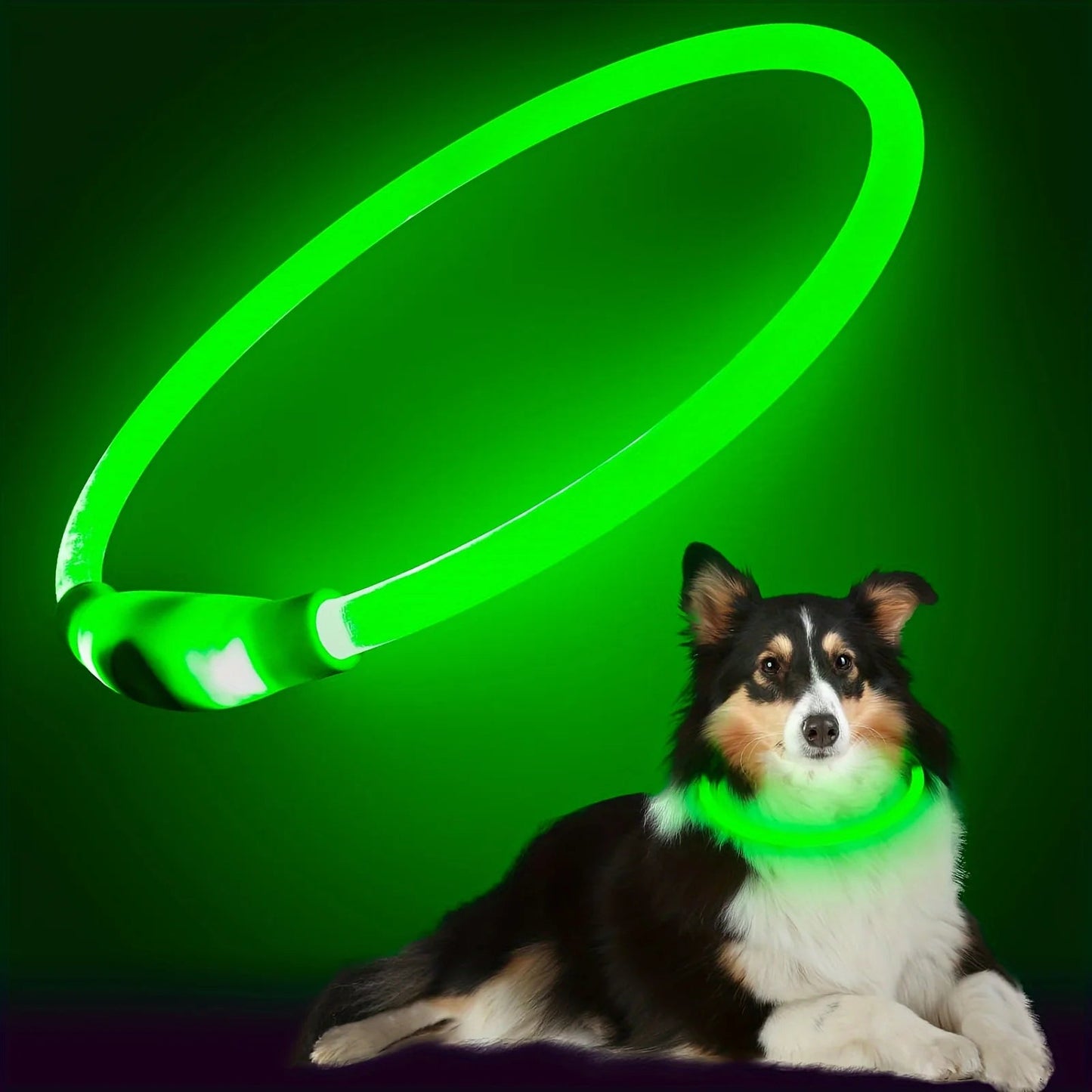 Pet Dog LED Light Collar Luminous Anti - Lost Dog Collar USB Rechargeable Dog Necklace Collar - Furbury