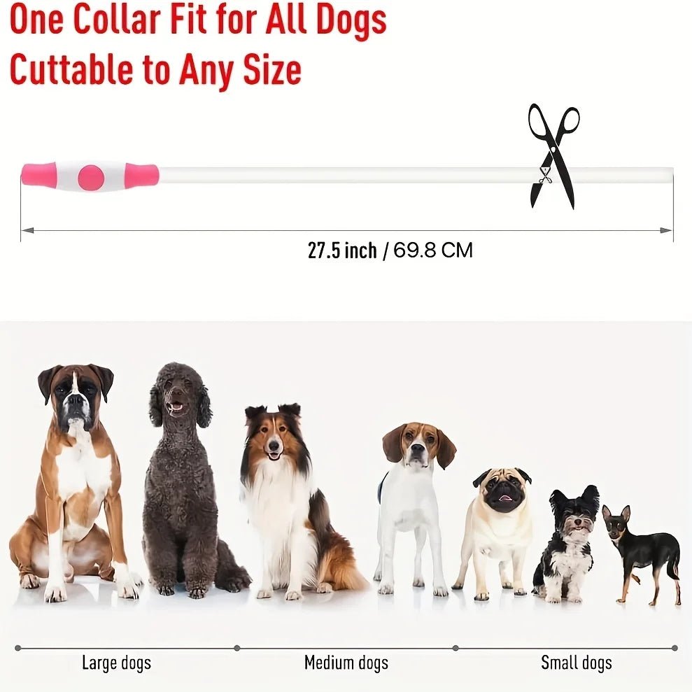 Pet Dog LED Light Collar Luminous Anti - Lost Dog Collar USB Rechargeable Dog Necklace Collar - Furbury