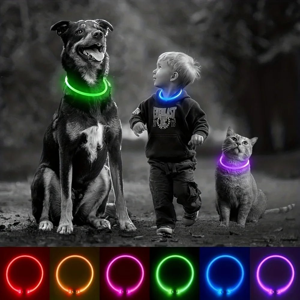 Pet Dog LED Light Collar Luminous Anti - Lost Dog Collar USB Rechargeable Dog Necklace Collar - Furbury