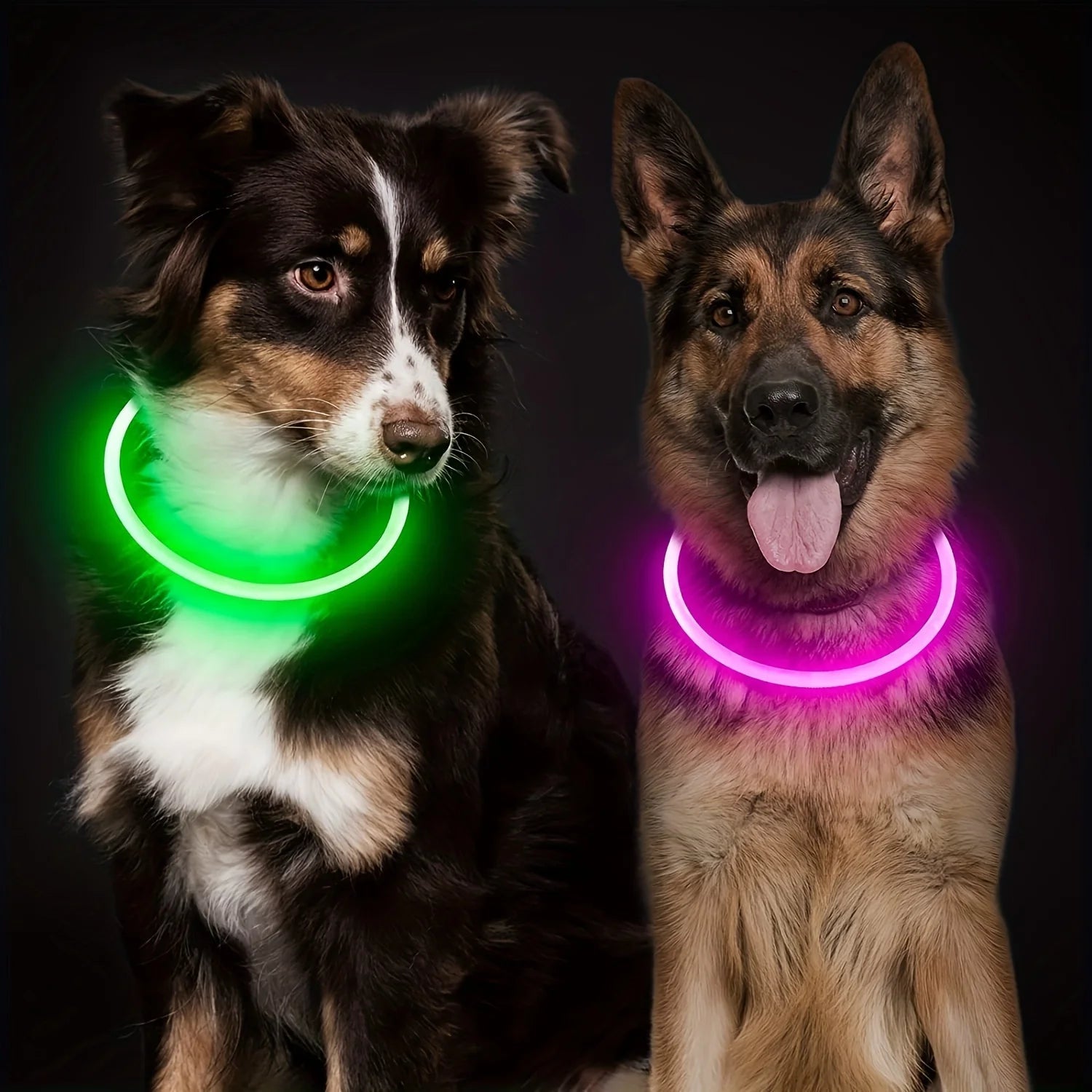 Pet Dog LED Light Collar Luminous Anti - Lost Dog Collar USB Rechargeable Dog Necklace Collar - Furbury