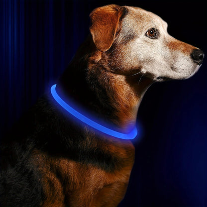 Pet Dog LED Light Collar Luminous Anti - Lost Dog Collar USB Rechargeable Dog Necklace Collar - Furbury