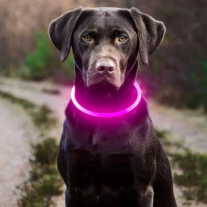 Pet Dog LED Light Collar Luminous Anti - Lost Dog Collar USB Rechargeable Dog Necklace Collar - Furbury