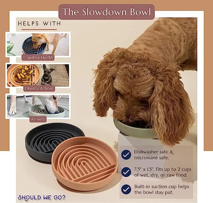 Pet supplies Slow Food Bowl Cat Anti - Knockover Anti - Slip Food Bowl Puppy Anti - choking Silicone Toy Food Plate - Furbury