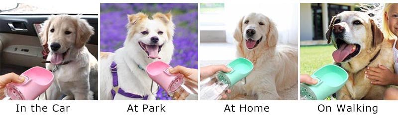 Portable Dog Water Bottle For Small Large Dogs Cat Outdoor Leakproof Walking Drinking Bowls Chihuahua French Bulldog Supplies - Furbury