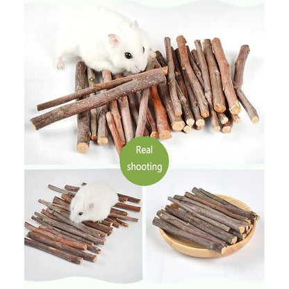 Professional Hamster Rabbit Teeth Grinding Apple Tree Stick Minerals Molar Stone Toys for Chinchilla Hamster PetToys accessories - Furbury