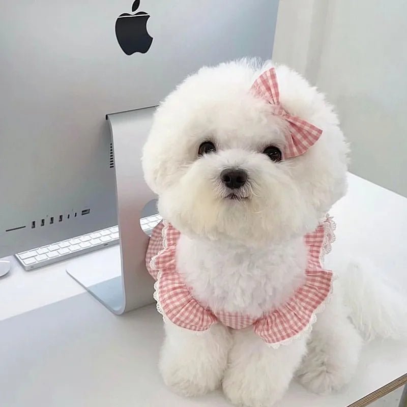 Puppy Bow Knot Dress Set Winter Warm Dog Clothes Pet Christmas Princess Dress Teddy Solid Color Skirt Send Clip - Furbury