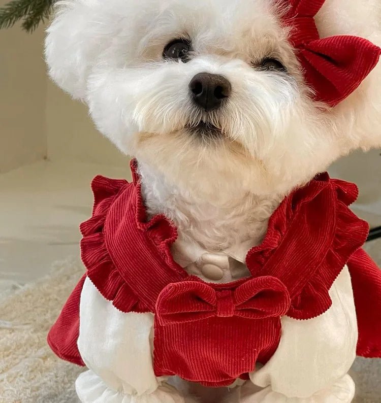 Puppy Bow Knot Dress Set Winter Warm Dog Clothes Pet Christmas Princess Dress Teddy Solid Color Skirt Send Clip - Furbury