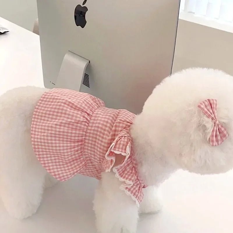 Puppy Bow Knot Dress Set Winter Warm Dog Clothes Pet Christmas Princess Dress Teddy Solid Color Skirt Send Clip - Furbury