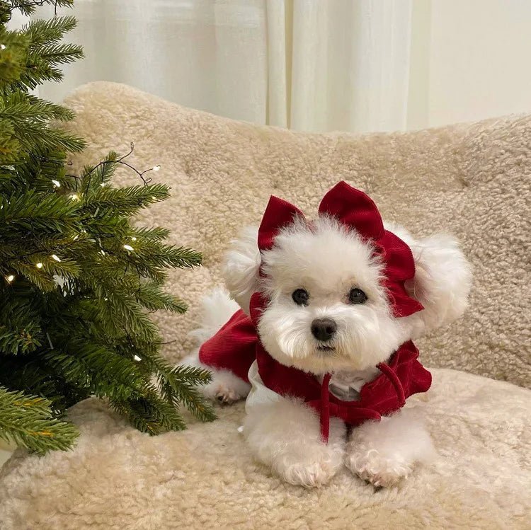 Puppy Bow Knot Dress Set Winter Warm Dog Clothes Pet Christmas Princess Dress Teddy Solid Color Skirt Send Clip - Furbury