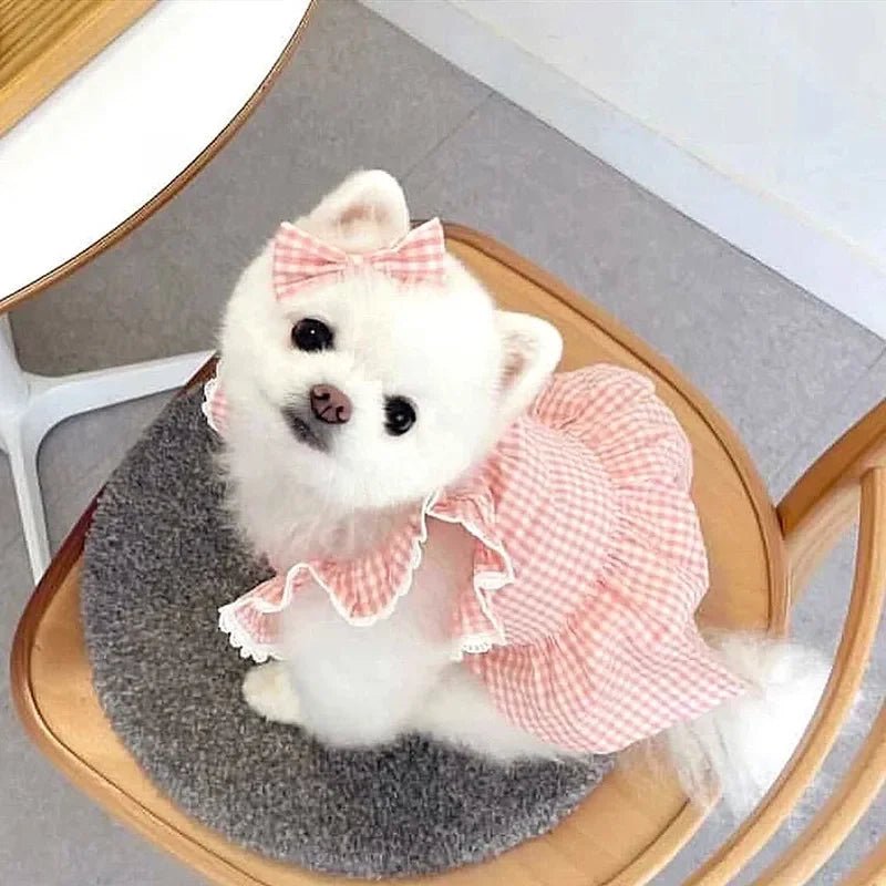 Puppy Bow Knot Dress Set Winter Warm Dog Clothes Pet Christmas Princess Dress Teddy Solid Color Skirt Send Clip - Furbury