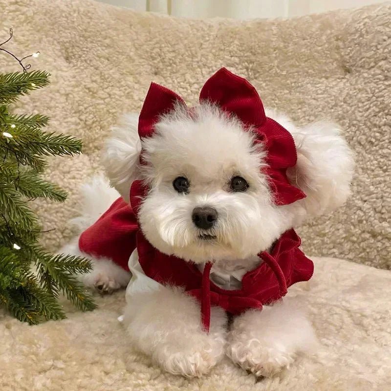 Puppy Bow Knot Dress Set Winter Warm Dog Clothes Pet Christmas Princess Dress Teddy Solid Color Skirt Send Clip - Furbury