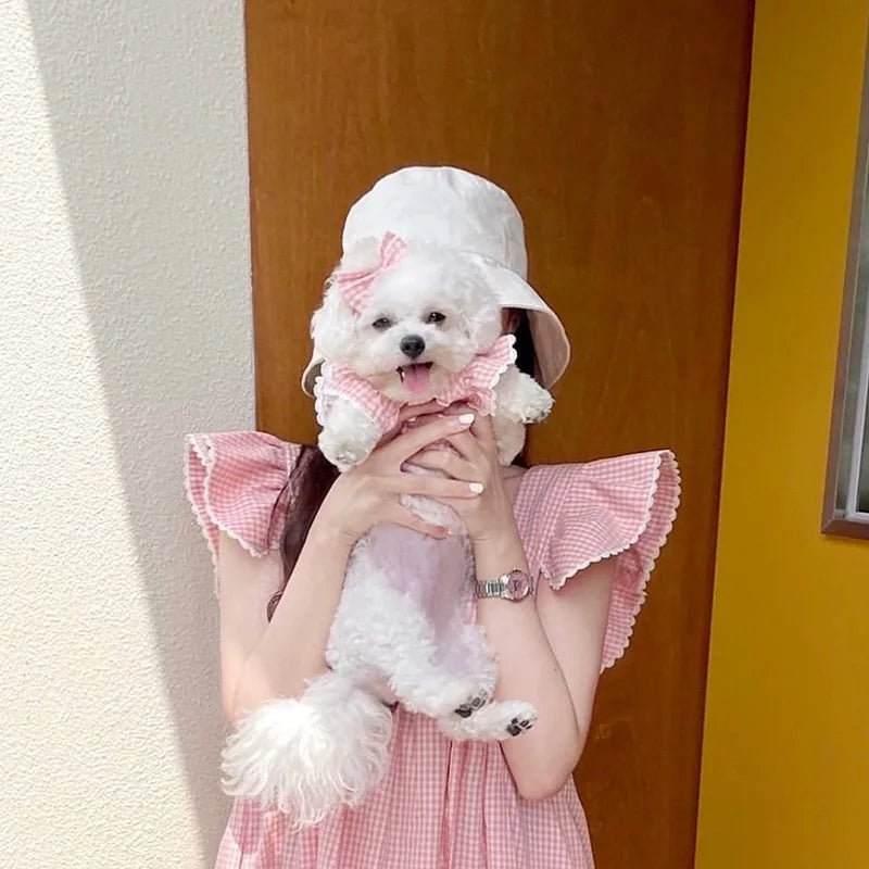 Puppy Bow Knot Dress Set Winter Warm Dog Clothes Pet Christmas Princess Dress Teddy Solid Color Skirt Send Clip - Furbury