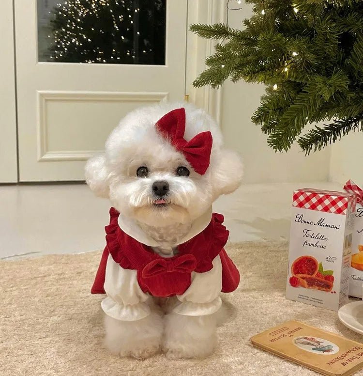 Puppy Bow Knot Dress Set Winter Warm Dog Clothes Pet Christmas Princess Dress Teddy Solid Color Skirt Send Clip - Furbury