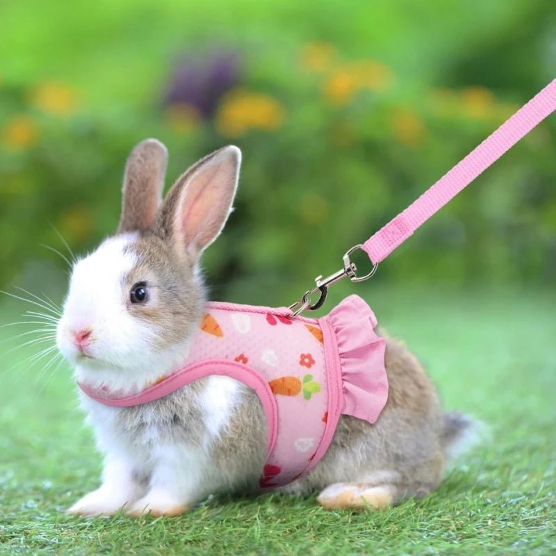 Rabbit Harness with Leash Cute Adjustable Buckle Breathable Mesh Vest Skirt for Bunny Guinea Pig Small Pet Traction Harness Suit - Furbury