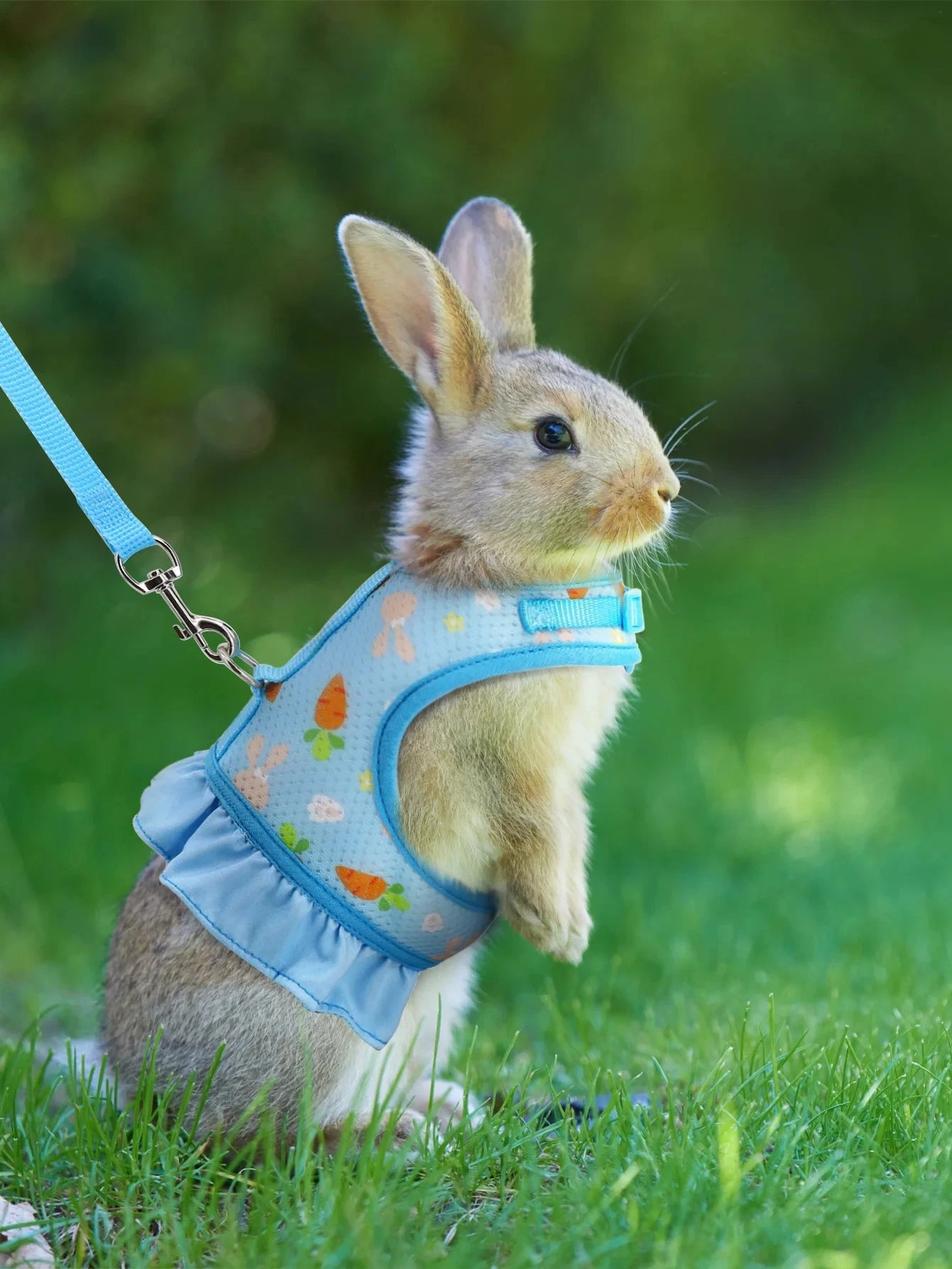 Rabbit Harness with Leash Cute Adjustable Buckle Breathable Mesh Vest Skirt for Bunny Guinea Pig Small Pet Traction Harness Suit - Furbury