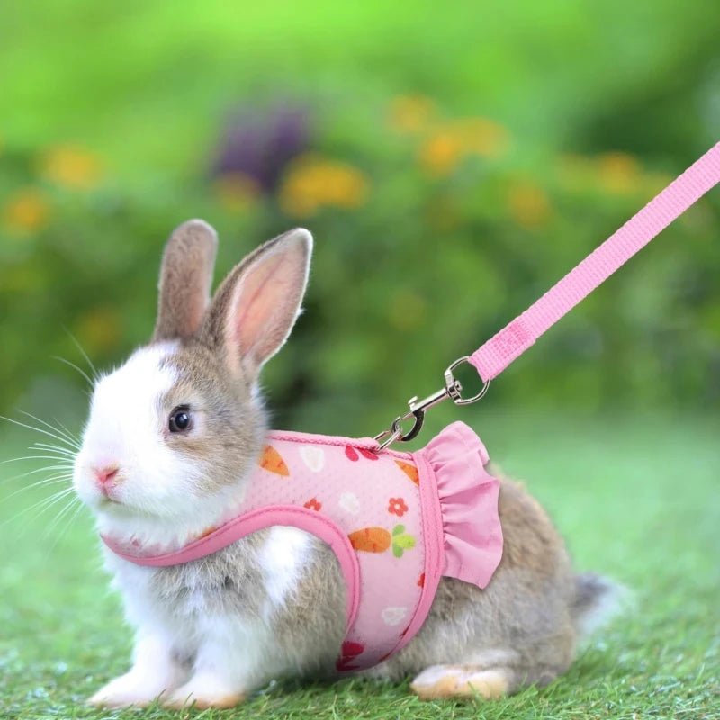 Rabbit Harness with Leash Cute Adjustable Buckle Breathable Mesh Vest Skirt for Bunny Guinea Pig Small Pet Traction Harness Suit - Furbury