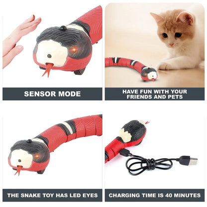 Smart Sensing Cat Toys Interactive Automatic Eletronic Snake Cat Teaser Indoor Play Kitten Toy USB Rechargeable for Cats Kitten - Furbury