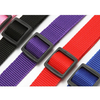 Solid Color Two - in - one Pet Car Seat Belt Nylon Lead Leash Backseat Safety Belt Adjustable Dogs Harness Collar Pet Accessories - Furbury